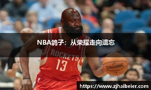 NBA鸽子：从荣耀走向遗忘